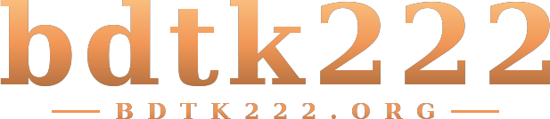 bdtk222 logo